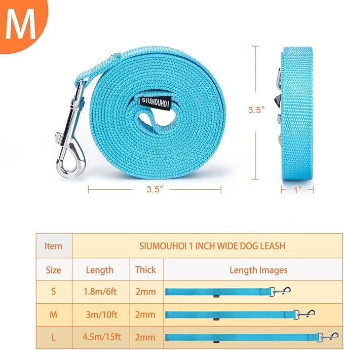 Strong Durable Nylon Dog Training Leash, 1 Inch Wide Traction Rope, 10 ft Long, for Small and Medium Dog (Mint Blue, 10 Feet)