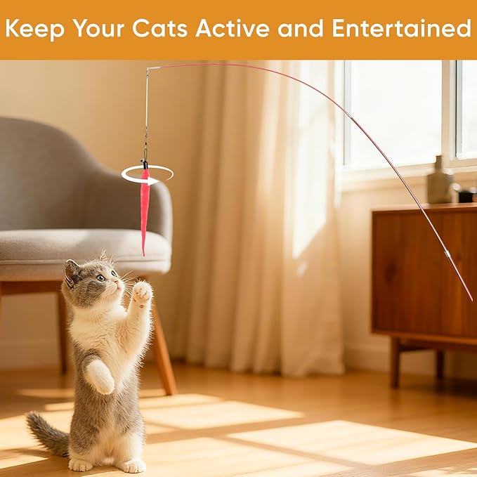 Cat Toys for Indoor Cats, 13 Packs Interactive Cat Wand Toy Set with Feather Toys & Teasers, Fun Cat Toys for Exercise, Playtime and Boredom Relief
