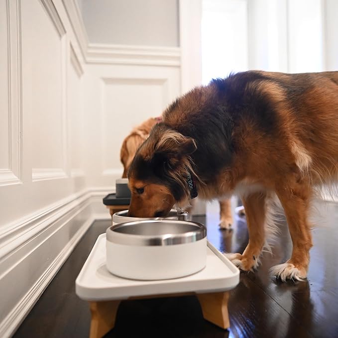 Trot Pets Elevated Dog Bowls | Stainless Steel Raised Bowl Set for Small, Medium, or Large Dogs | Non-Slip Food and Water Slow Feeder | Durable, BPA-Free, Anti-Skid, Dishwasher Safe (Sky, Small)
