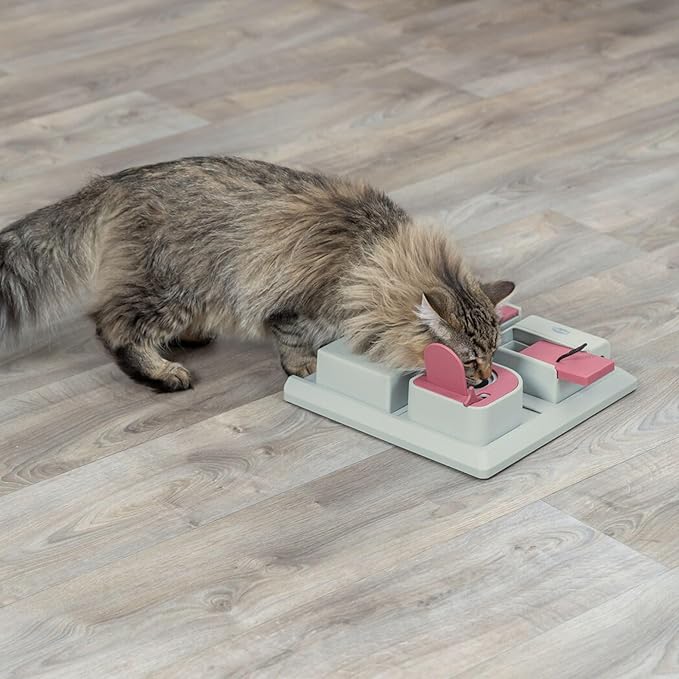 TRIXIE Cat Activity Poker Box Strategy Game, Slow Feeder, Interactive, Treat Toy,All Breed Sizes