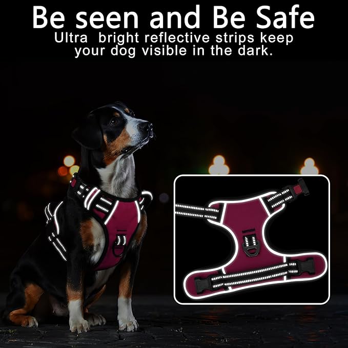 Timos No Pull Dog Harness, No Choke Front Lead Dog Reflective Harness, Adjustable Soft Padded Pet Vest with Easy Control Handle for Small Medium Large Dogs, M