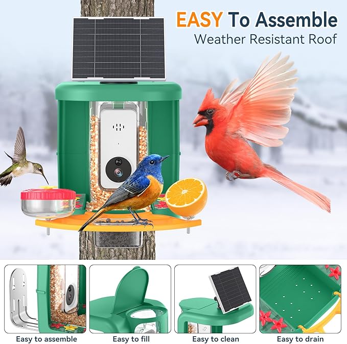 Solar-Powered Smart Bird Feeder with Camera Solar Powered,2K Video Recording, Auto Bird ID & Extensive DIY Accessories,2 in 1 Hummingbird Feeder Camera Ideal Present for Bird Lovers (Green)