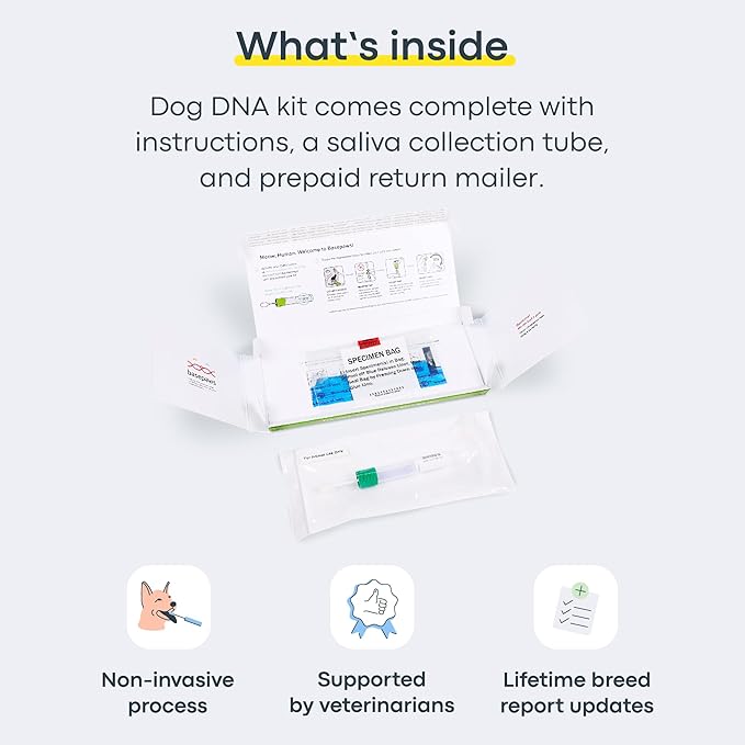 Basepaws Dog DNA Testing Kit - 300+ Breeds, 280+ Health Risks, and 30+ Traits - Comprehensive Mixed Breed Identification, Pet DNA Test kit, Canine Genetic Ancestry and Heritage