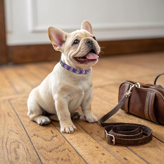 EXPAWLORER Leather Cat Collar for Girl Boy- Adjustable Pet Collar with Safety Elastic Belt,Personalized Punk Accessories Buckle Collars with Bell & Durable D-Ring, Skull(Purple)