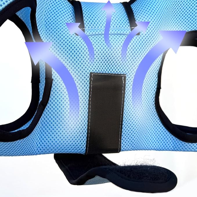 Haminway Pet Grooming Hammock – Large Dog Grooming Sling for Nail Trimming, Bathing & Ear/Eye Care – Blue