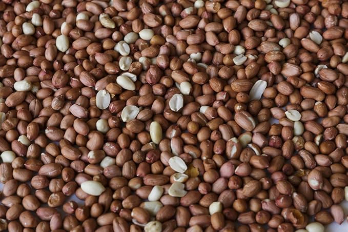 Wakefield Virginia Peanuts Bulk 45LB Bag Shelled for Squirrels, Birds, Deer, Pigs and a Wide Variety of Wildlife, Raw Peanuts/Bulk Nuts/Blue Jays/Cardinals/Woodpeckers