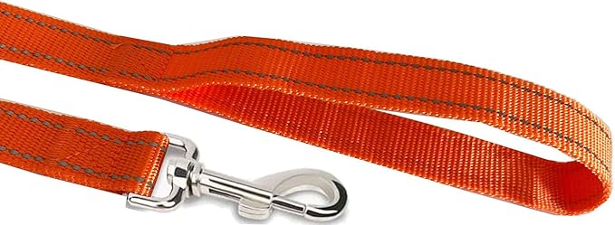Reflective Dog Leash 4Ft /6 Feet Long, 3/4 Inch Wide, for Small and Medium Dogs