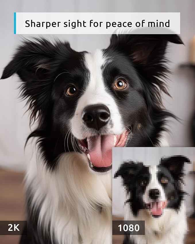 blurams Pet Camera 2K, 360° Dog Camera with Phone App, PTZ Indoor Cameras for Home Security Indoor, 2-Way Audio, Motion Tracking, Color/IR Night Vision, Siren, Cloud&SD(2.4GHz Only)