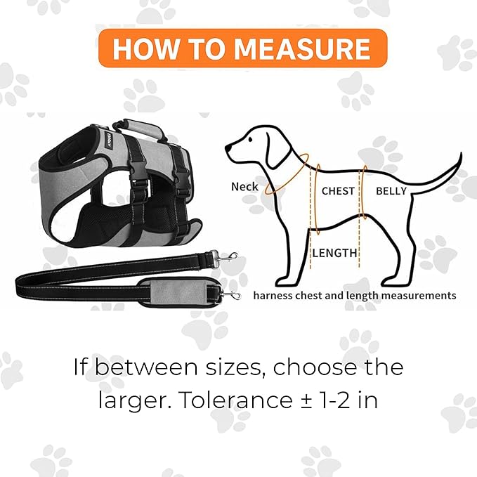 Ayquez Dog Lift Harness with Storage and Transport Bag, Dog Harness with Handle for Lifting & Hip dysplasia, arnés para Perros pequeños, pechera para Perros (Gray, XL)