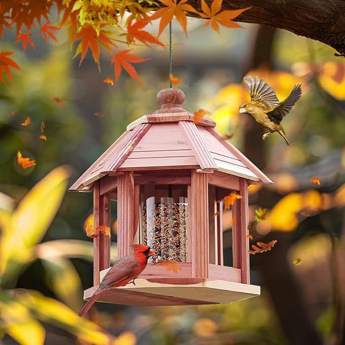 Large Gazebo Hanging Bird Feeders for Outside Clearance - Aromatic Red Cedar Birdfeeder for Outdoor- Lifetime Durability - Flythrough Bird Feeding Station - All Birds Available (6 Lbs Capacity)