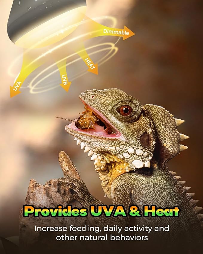 Reptile Heat Lamp, 2 Pack 100W Daylight Basking Light Bulb & Infrared Heat Lamp, Amphibians Basking Heat Lamp Bulbs, UVA Daylight Light for Reptiles, Bearded Dragon, Lizard