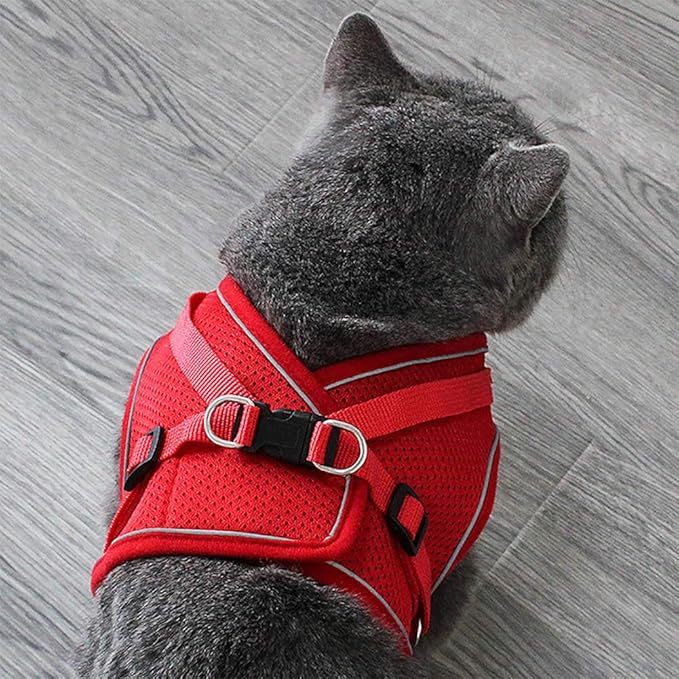 Puppy Harness and Leash Set, Escape Proof Dog Cat Vest Harness for Cats Small Medium Dogs, Adjustable Reflective Step in Harness,Soft Mesh Comfort Fit No Pull No Choke (Medium(13.7"-15.7"), Red)