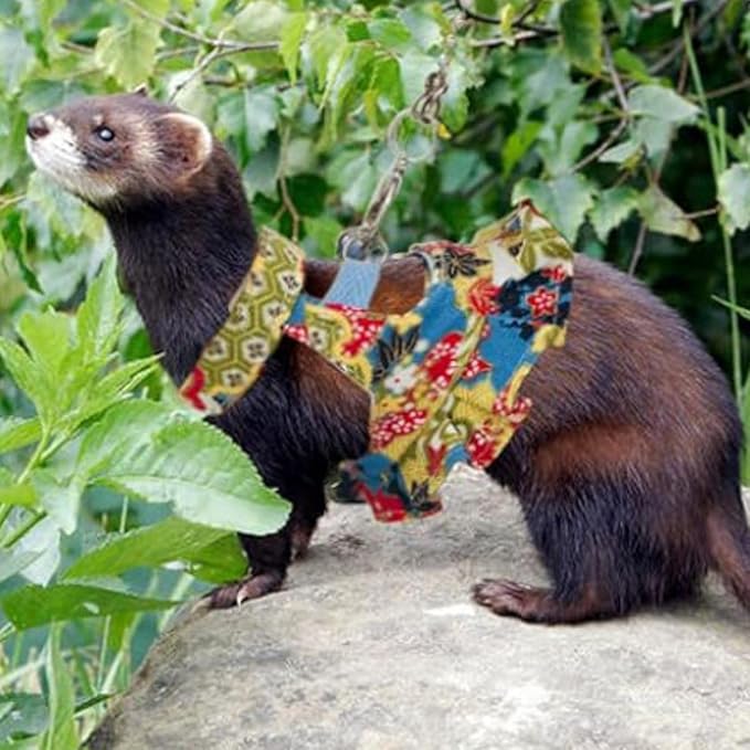 3 Sets Squirrel Leash and Harness Set,Traction Rope Strap, Ferret Harness Vest, Adjustable Flora Small Animal Harness Vest for Ferret, Dwarf Chinchilla, Guinea Pig, Fancy Rat (Small)