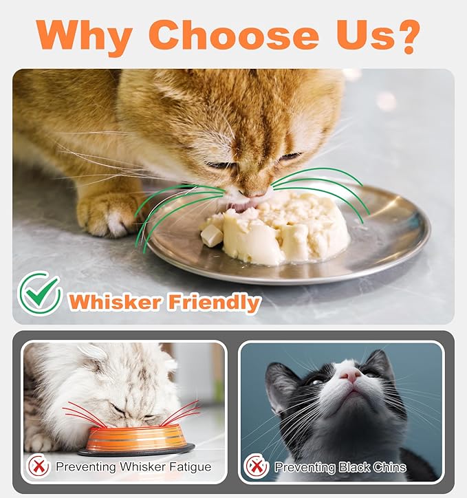 Supet Whisker Frinendly Cat Plates for Wet and Dry Food, Cat Bowls with Non-Slip Bottom, 304 Stainless Steel Flat Wide Shallow Dishes for Indoor Kitten (2Pcs)