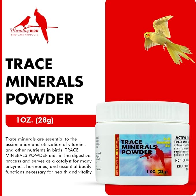 Morning Bird Trace Minerals Powder 1 Oz – Complete Mineral Supplement for Birds – Promotes Energy, Metabolism & Enzyme Activity – Easy to Mix for Daily Vitamin Support.