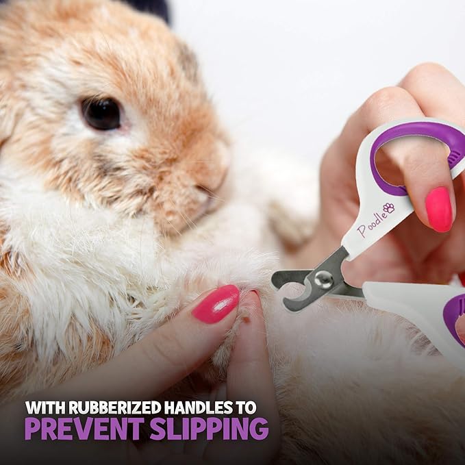 Cat Nail Clipper, Dog Nail Trimmers – Pet Claw Scissors for Cats, Dogs, Rabbits & Small Animals – Sharp Stainless Steel Professional Grooming Tool - Gentle Yet Effective