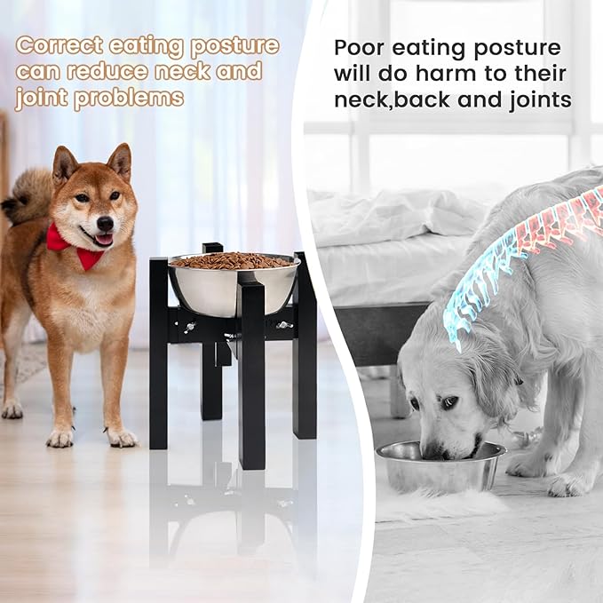 Elevated Dog Bowl Stand,Adjustable Dogs Food Stand for 7”-10” Bowls,Single Cat Water Bowl Holder 10” Tall for Medium Dogs Black