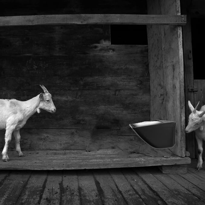 Fence Hanging Chicken Feeder for Duck, Piglets, Goat Feeder Poultry Feeding Container for Livestock Feed Trough Water Bucket(2)