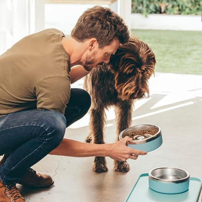 Trot Pets Premium Dog Bowls | Stainless Steel Bowl Set for Small, Medium, or Large Dogs | Non-Slip Food and & Water Slow Feeder | Durable, BPA-Free, Anti-Skid, Dishwasher Safe (Slate, Small)