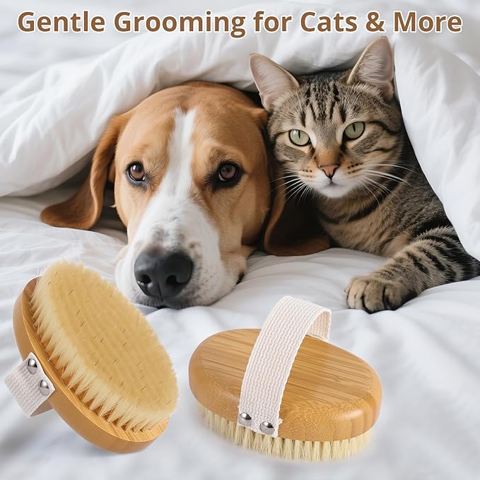 Boar Bristle Cat Brush for Indoor Cats, Cat Hair Brush Gentle Grooming, Reduce Shedding, Soft Hair and Healthy Shine, Bamboo Handheld with Soft Boar Bristles and Band for Short Haired Cats Dogs