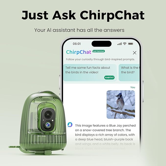 HIXX Smart Bird Feeder with Camera, AI Bird Identifier & 4MP Color Night Vision, Exclusive Vertical View Mode, Squirrel-Deterrent Design, Solar Light for Nature Lovers (Color Light)