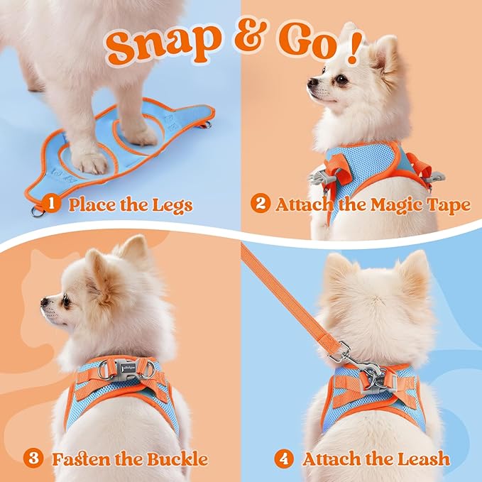 rabbitgoo Dog Harness Small Sized and Leash Set, Step-in Breathable Pet Harness, Soft Walking Reflective Puppy Vest for Small Dogs, Light Blue & Orange, L
