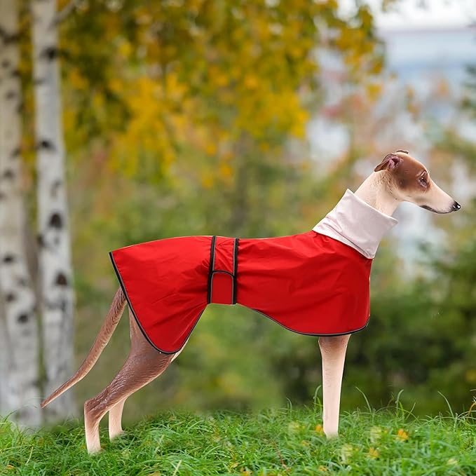 Dog Raincoat with Reflective Bar, Rain/Water Resistant, Adjustable Vest - Dog Raincoats for Greyhounds, Lurchers and Whippets - Red - S