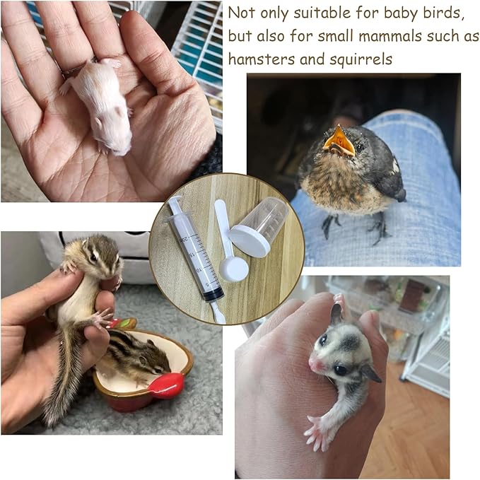 8 PCS Small Pet Feeding Syringe Sets, Baby Bird Feeding Syringe for Cats, Dogs Other Small Animal (Syringes, Milk Container, Spoons and Powder Spoons)