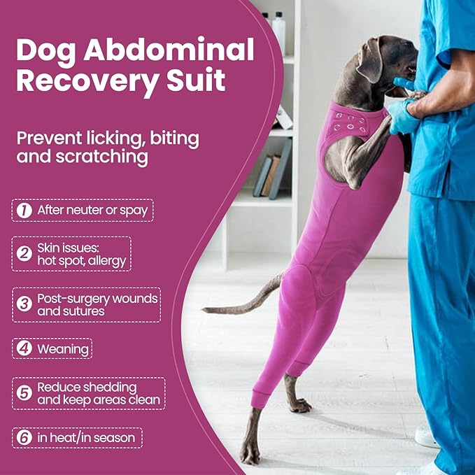 Nanaki Dog Wound Care Shirt, Dog Leg Sleeve To Stop Licking Rear Leg And Abdomen, Doggy Surgery Suit Female Spay,Doggy Onesie For Surgery Female Male, Pet Surgical Recovery Suit Pet Wound Heal Clothes