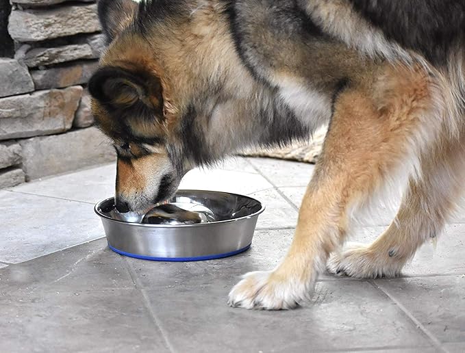 OurPet's DuraPet Slow Feed Premium Stainless Steel Dog Bowl, Silver (2040010301)