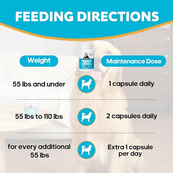 Probiotics for Dogs, Dog Probiotics with Digestive Enzymes with and Prebiotics for Support Gut & Digestion Health, Immune Support, Reduce Diarrhea, 60 Capsules