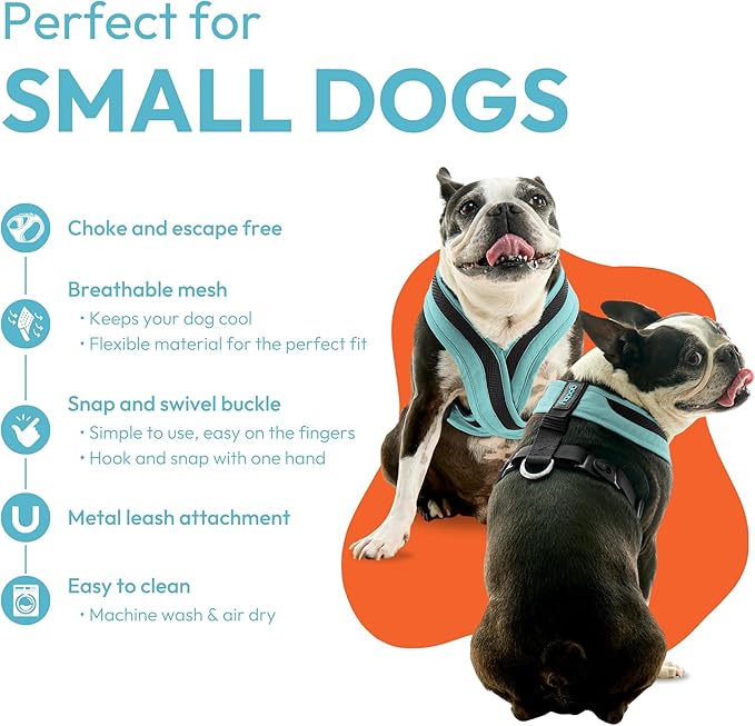 Gooby Comfort X One Dog Harness - Head-in Dog Harness for Small & Medium Sized Dogs - Escape-Free & Choke Free - Breathable Mesh, Shock Absorbing, Easy Snap & Swivel Buckles - Miami Yellow, 2X-Small