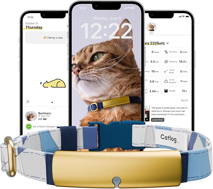 Health Tracker for Cats - Smart Cat Collar with Safety Breakaway Buckle for Indoor Cats, Wellness Alerts, Real-time Monitoring (Wave (Blue),M)