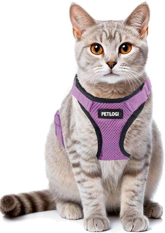 Cat Harness Escape Proof with Leash for Walking, Travel Vest Soft Chest Support, Adjustable Size, Escape Proof Soft Adjustable Vest Harnesses, Breathable, Kittens, Small Dogs (美/背縄/紫2/S)