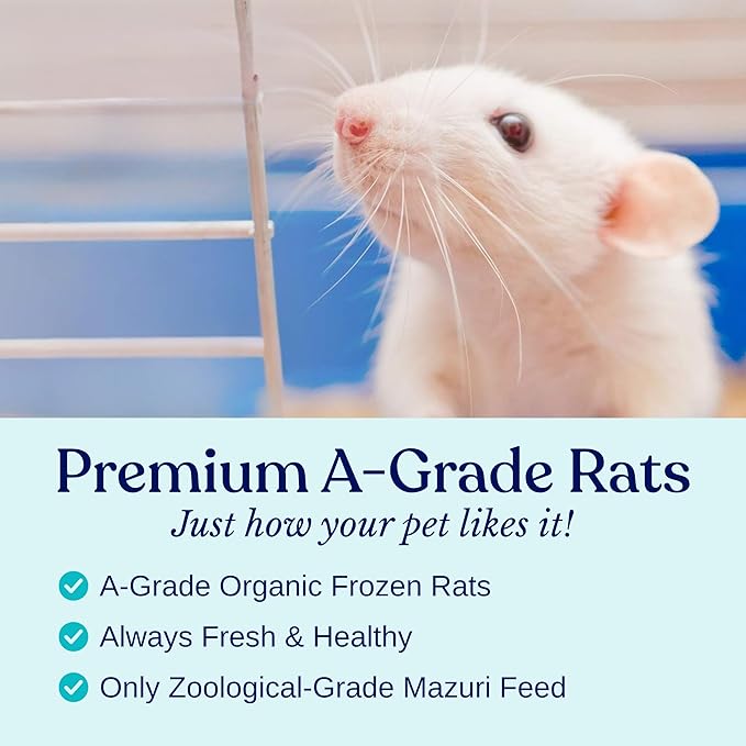 MiceDirect EST. 2003 40 Frozen Mice Fuzzie Feeders Snake Food for Juvenile Hognose Corn milks (1.25-1.5 in) (160 Grams Min)