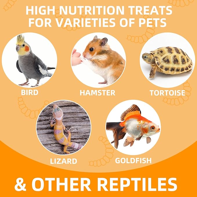 6 Pack Canned Superworms for Reptiles, Fish, Birds and Small Animals, Super Worms, Healthy High Protein Treat for Reptile Bird Fish Food 7.2 Ounces Total