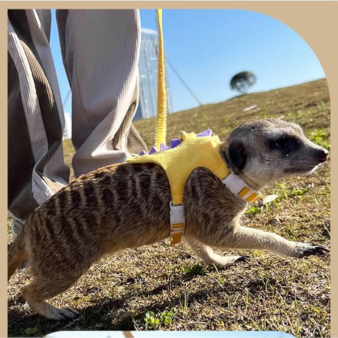 Ferret Harness and Leash Set Small Animals Vest Harness with Safe Bell Dinosaur Shaped Walking Clothes for Baby Rabbit Guinea Pig Teacup Chihuahua Mouse and Other Small pet (Yellow)