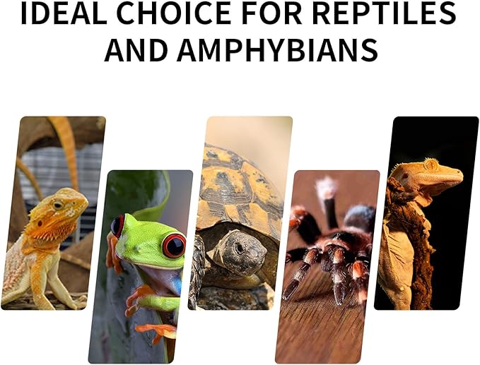 Mini Reptile Glass Terrarium Tank 8"*8"*10" Full View with Front Opening Door,Amphibians Enclosure Habitat Cage for Leopard Gecko Tarantula Young Lizard Hermit Crab Frog Insects Breeding