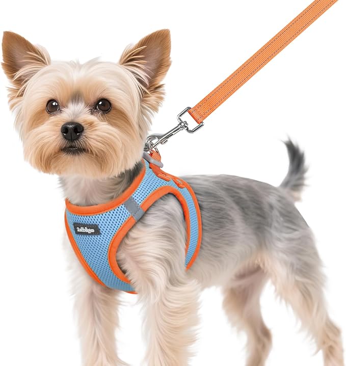 rabbitgoo Dog Harness Small Sized and Leash Set, Step-in Breathable Pet Harness, Soft Walking Reflective Puppy Vest for Small Dogs, Light Blue & Orange, XS