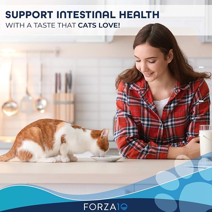 Forza10 Active Intestinal Support Diet Dry Cat Food for Adult Cats, Cat Food Dry for Upset Stomach, Diarrhea and Intestinal Disorders, Wild Caught Anchovy Flavor, 4 Pound Bag
