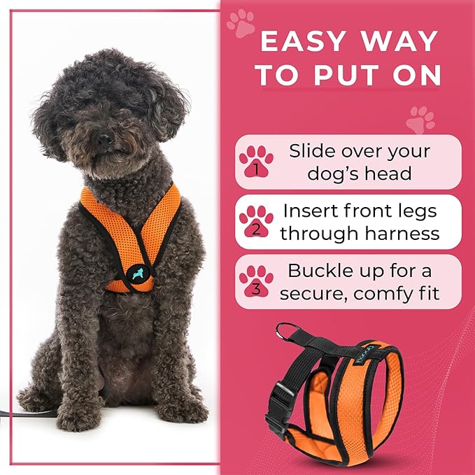 Gooby Comfort X Head-in Harness - Orange, Small - No Pull Dog Harness with Patented Choke-Free X Frame for Small Breeds - Indoor and Outdoor Use