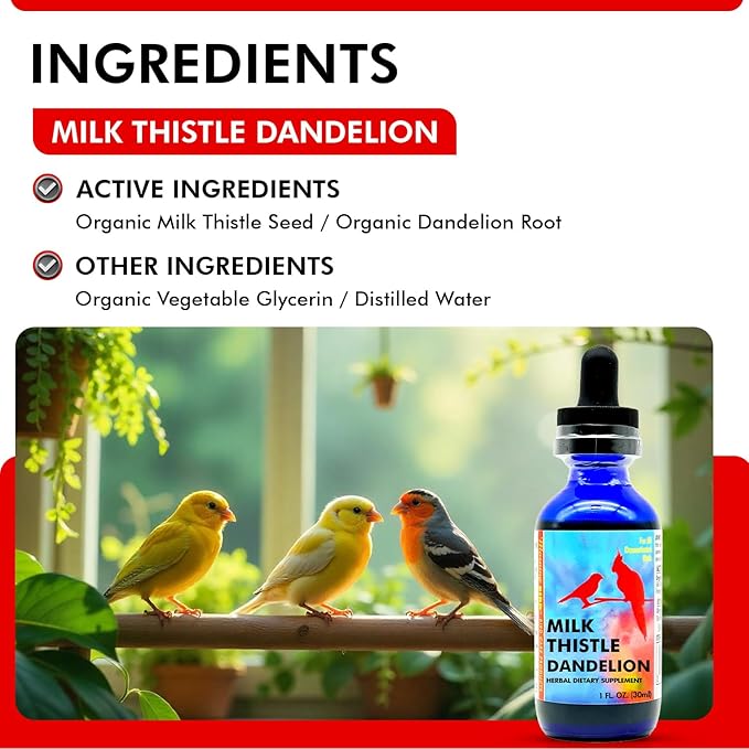 Morning Bird Milk Thistle & Dandelion Extract 1 fl oz - Organic Bird Supplement for Optimal Health – Support Liver Heath & Promotes Detox - Suitable for All Birds Species