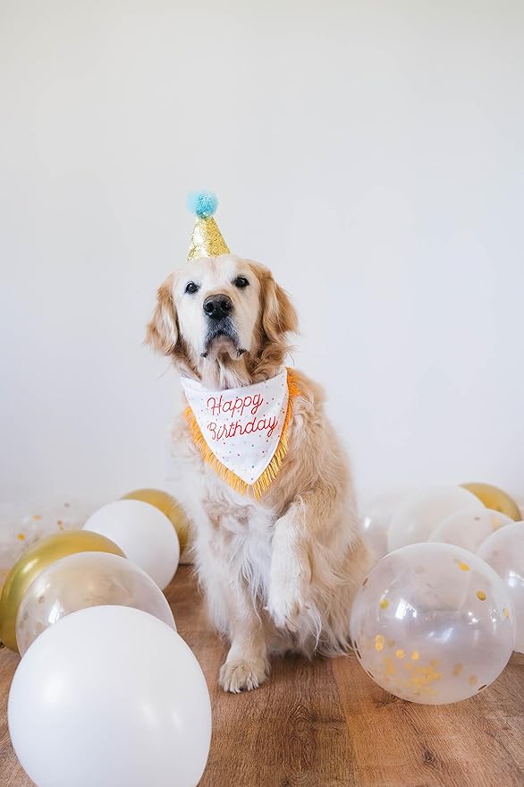 ZippyPaws Dog Birthday Gift Bandana & Bone - Cute Accessories for Girl & Boy Dogs, Holiday Set, Fits Small, Medium, & Large Dogs, Stuffed Plush Toy, Machine Washable Handkerchief - One Size Fits Most