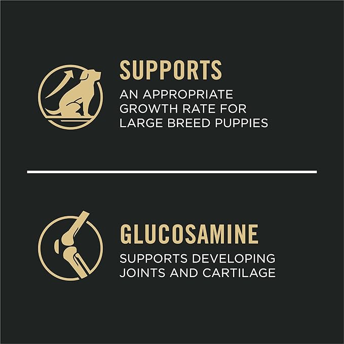 Purina Pro Plan Large Breed Dry Puppy Food, Chicken and Rice Formula - 34 lb. Bag