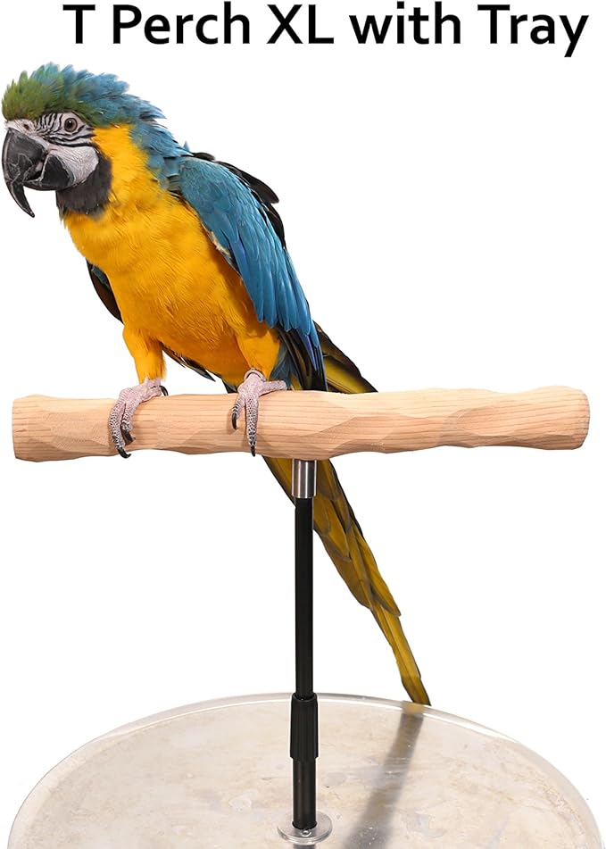 Parrot Training Perch Stand with Potty Tray (T Perch, XL)