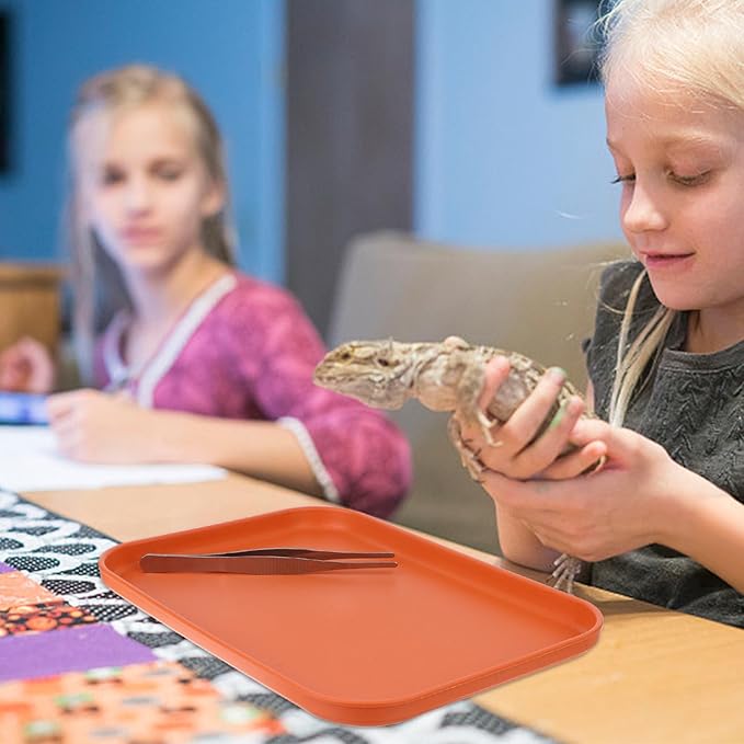 2 Pieces Reptile Food Water Dish, Reptile Feeding Bowl, Tortoise Feeding Dish, Plastic Pets Feeding Plate with 1Pcs Forcep, Crawl Pet Basking Platform for Turtle Lizard Bearded Dragon Gecko Snake