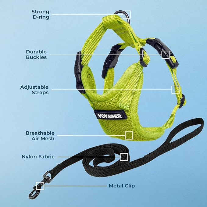 Voyager Step-in Lock Adjustable Cat Harness w. Cat Leash Combo Set with Neoprene Handle 5ft - Supports Small, Medium and Large Breed Cats by Best Pet Supplies - Lime Green, XXXS