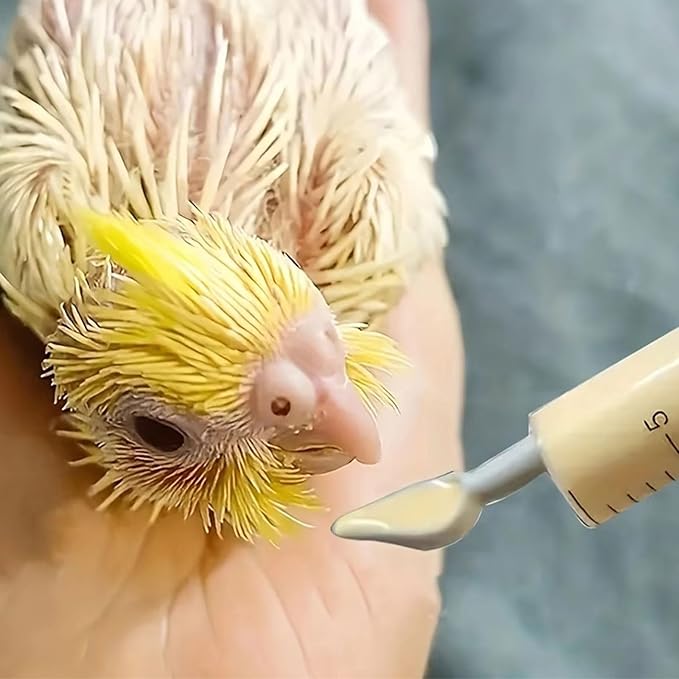 Baby Bird Feeding Syringe Set, Pet Parrot Milk Feeding Syringe with Tubes, Parrot Feeding Tubes Measuring Tools for Feeding Pets Scientific Industrial Labs… (10ml+20ml+60ml)