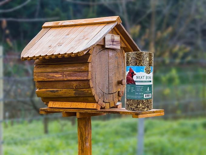 Birdseed Cylinders with Hole - Bird Seed for Outside Wild Birds (Small Cylinder, Neat Beak 1pc)