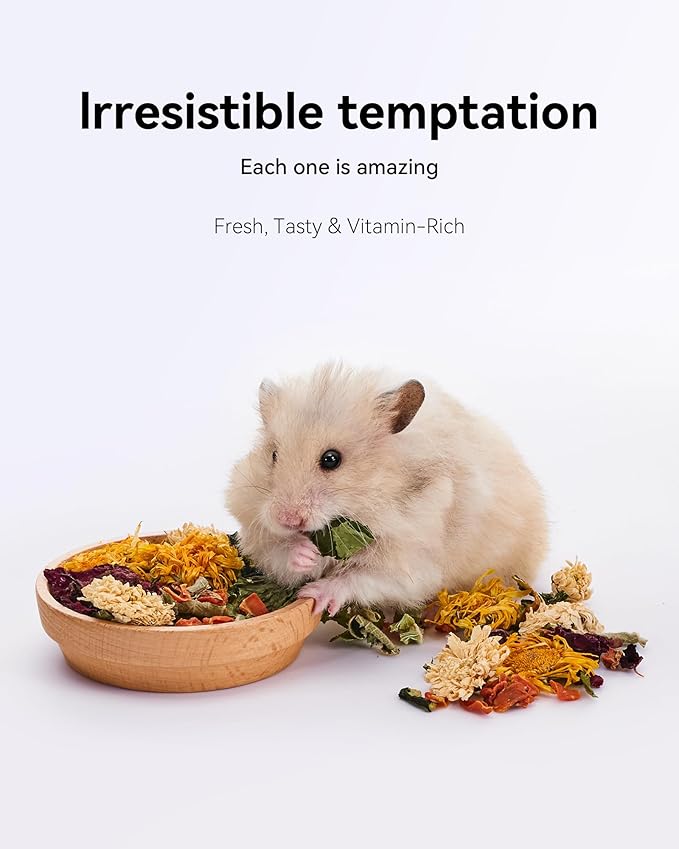 Niteangel Hamster Snack & Treats Toy: - Small Animal Natural Treat Mix for Dwarf Syrian Robo Hamsters Gerbils Mice Lemmings Degus or Other Small-Sized Pets (Vegetable Combo)